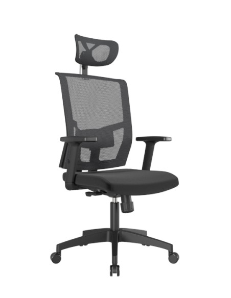 SILLON PSTE DELPHI CON CABECERO APOYO LUMBAR