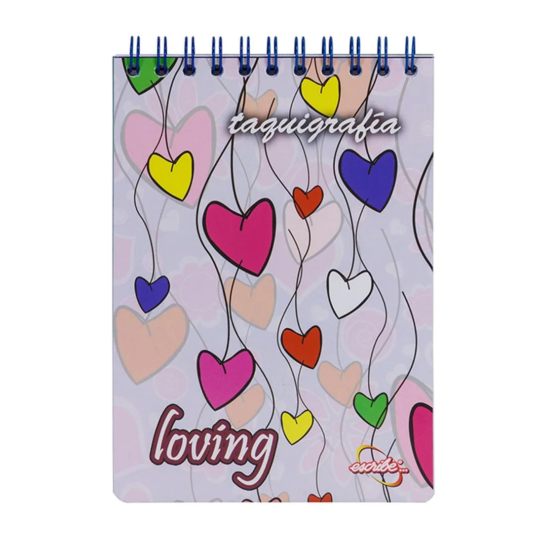 LIBRETAS TAQUIGRAFICAS X 100H